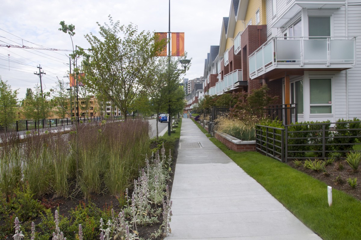 2040 OCP - Form and Character - Image of rain gardens and permeable surfacing