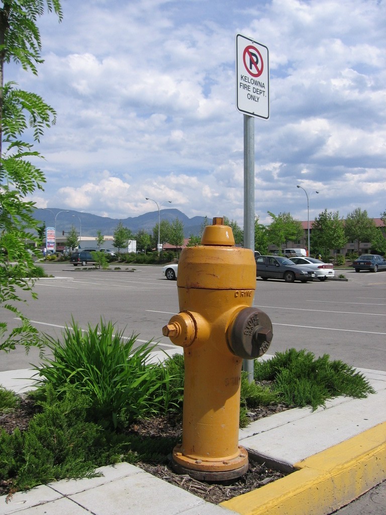 Fire hydrant