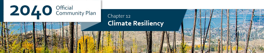 2040 OCP - Chapter 12 - Climate Change Mitigation and Adaptation chapter header, image of burnt trees following wildfire in Okanagan